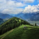 Where the Mountains Breathe: Journey Through the Alpine Meadow Trails